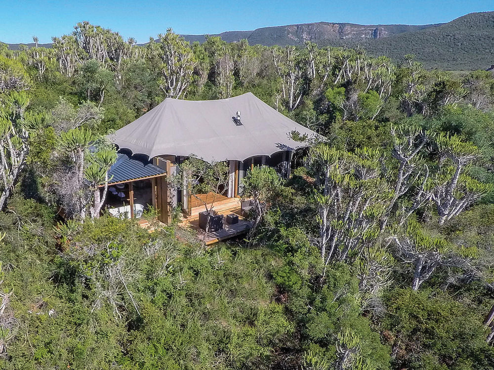 Kariega Game Reserve Settlers Drift Alexandria  Exterior photo