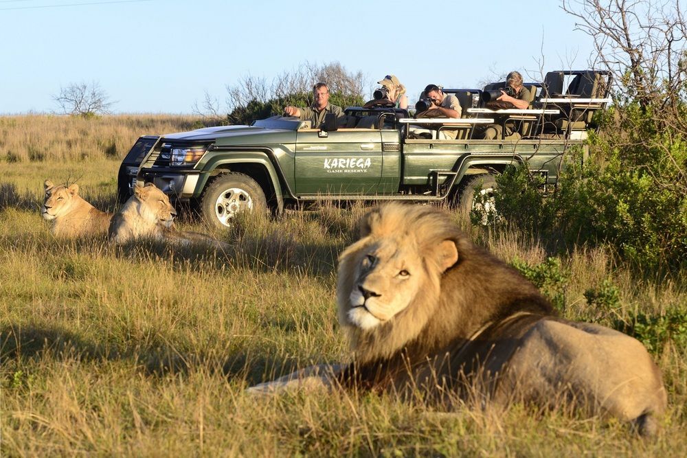 Kariega Game Reserve Settlers Drift Alexandria  Exterior photo