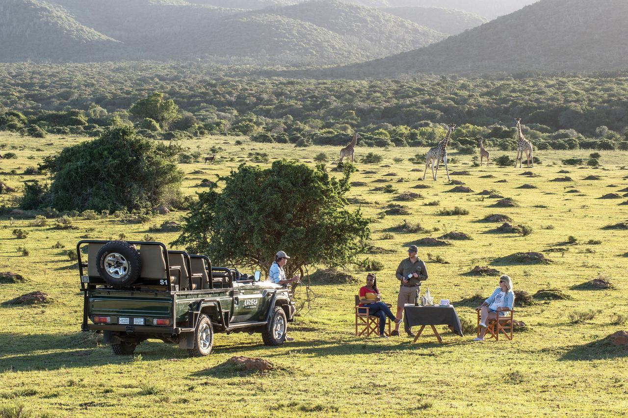 Kariega Game Reserve Settlers Drift Alexandria  Exterior photo